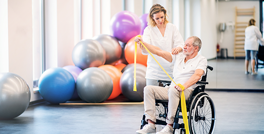 neck and back physical therapy